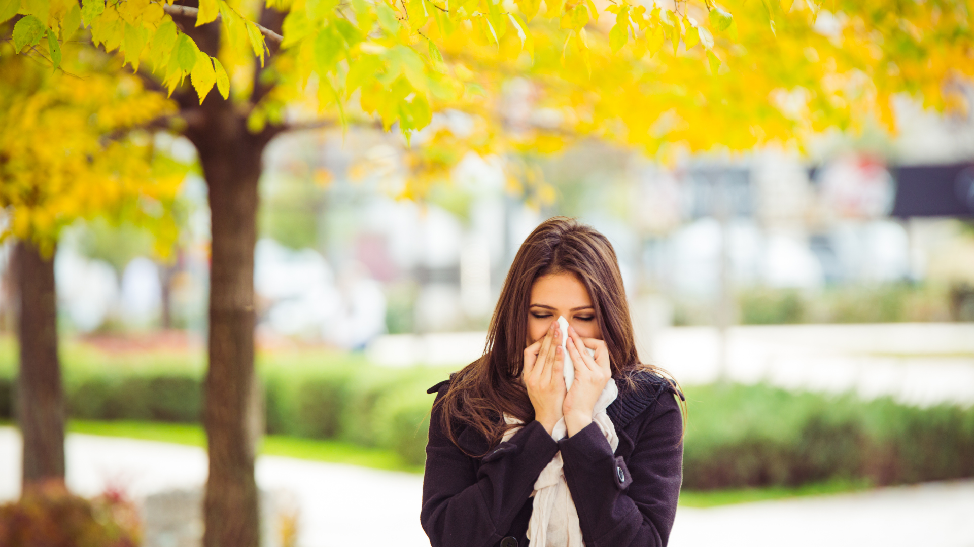 Tips for Coping with Airborne Allergens