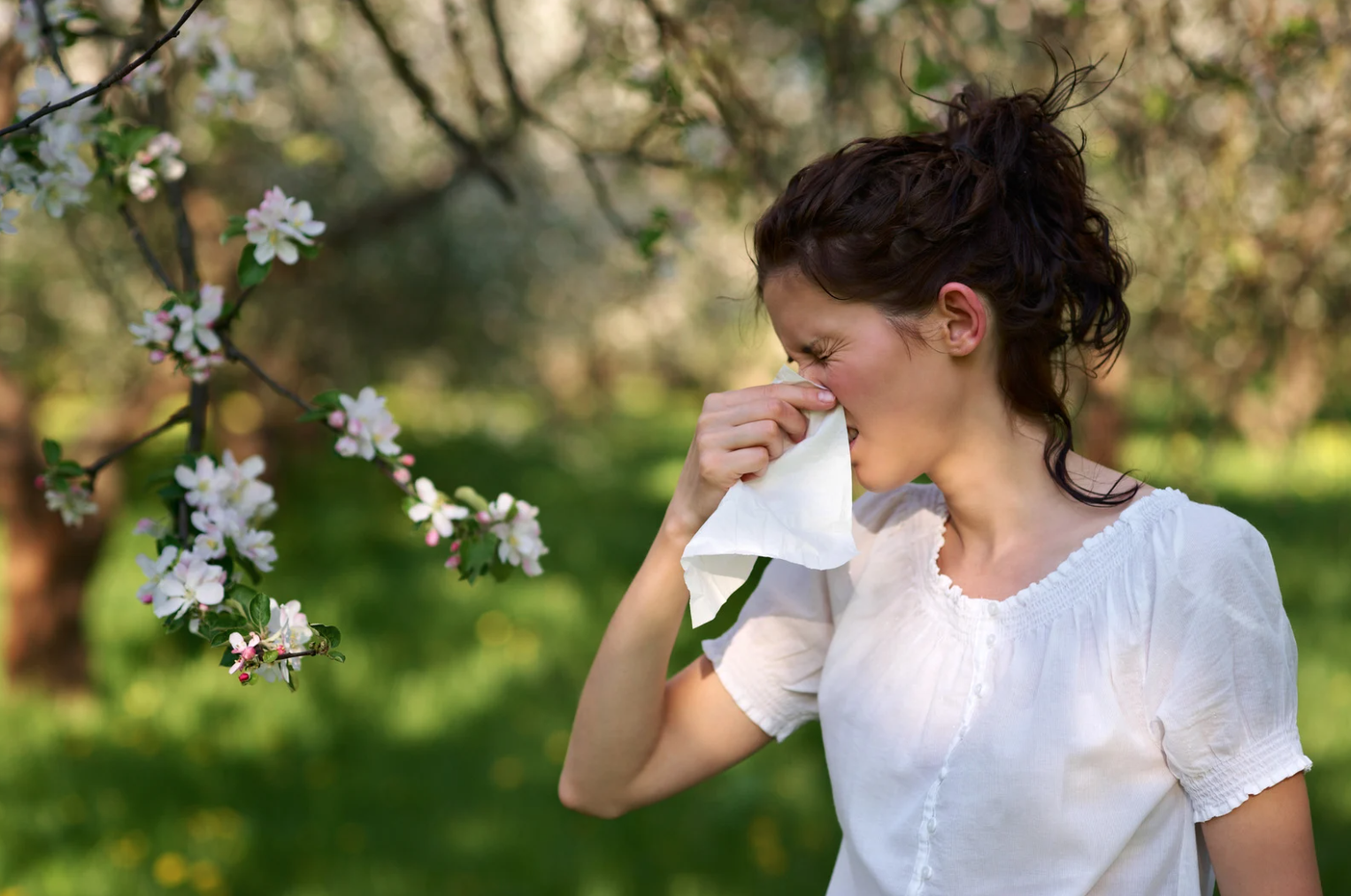 Dealing with Spring Pollen Allergies: Tips and Tricks